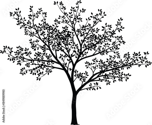 A black and white illustration of a tree with sparse foliage