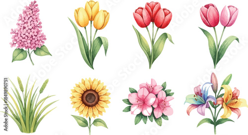 Vibrant watercolor floral arrangement with multiple flower types