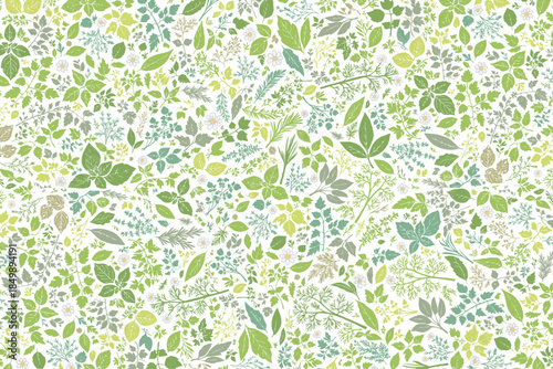 ハーブ柄のパターン　前面に敷き詰めた構成