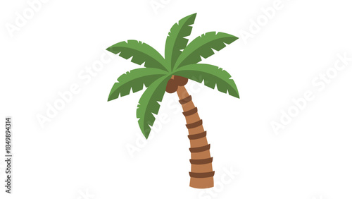 palm tree on white background