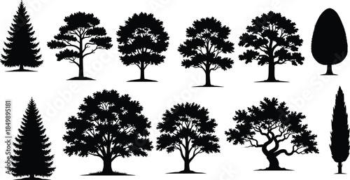 PrintSet of eleven detailed tree silhouettes vector, including pine, broadleaf, cypress, and oak, representing natural ecology, forestry, and landscape architectural elements.