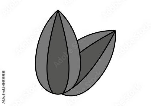Icono de dos semillas de girasol negras aisladas o pipas