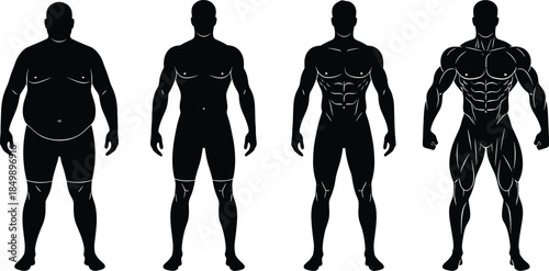 Male body silhouettes progression showing different fitness levels from overweight to muscular anatomy figures vector illustration isolated white background