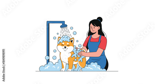 Young woman in an apron giving a happy shiba inu dog a bath with a shower, soap bubbles, and foam everywhere.
