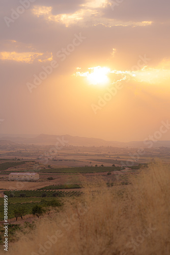 Vertical shot of sunset over the fields
