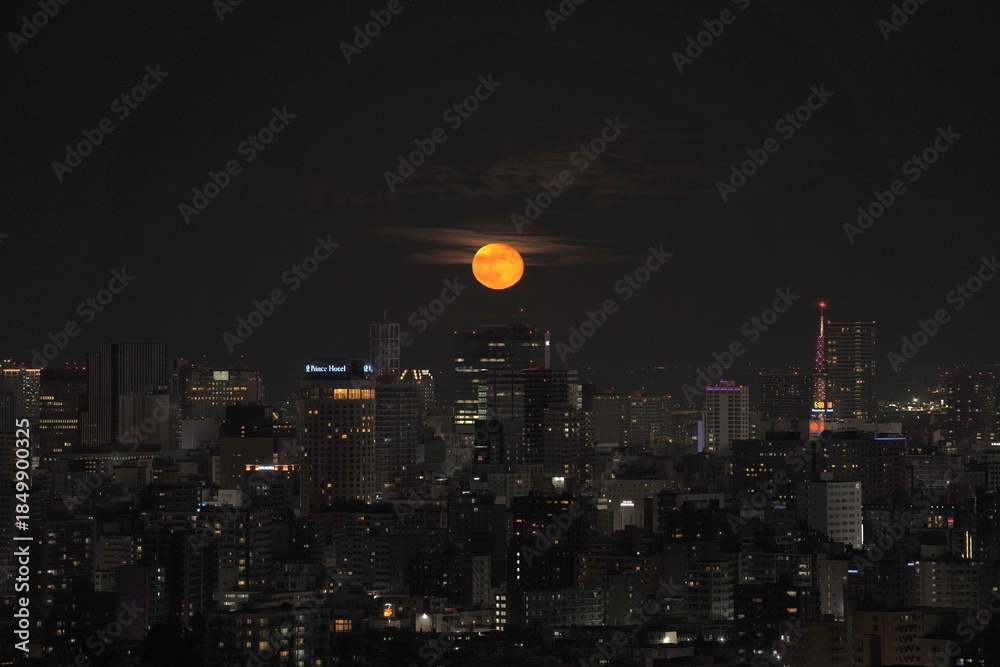 Fototapeta premium 夜景登る月