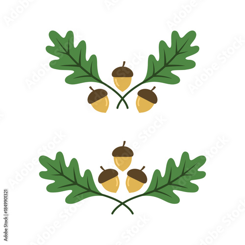 Oak leaf ornament. Logotype. Oak leaves. Wreath of oak leaves. Autumn wreath. Acorn. Oak branch and acorns. Leaf. Floral logo template. Forest. Logo. Acorn with leaves. Decorative painting.