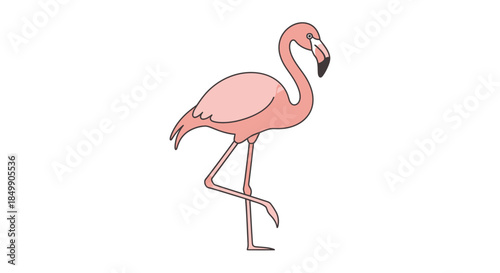 Cute Illustrative Pink Flamingo Standing on One Leg with Simple Design
