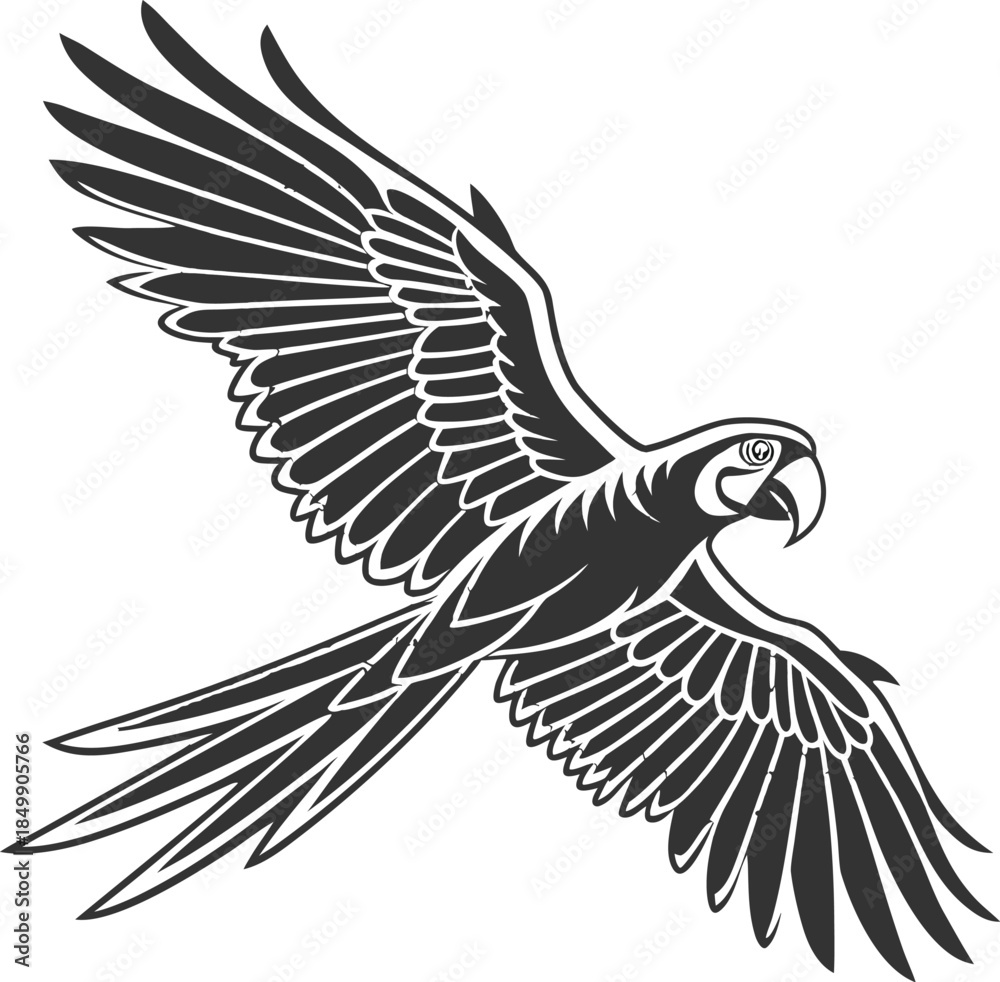 Obraz premium eagle vector illustration