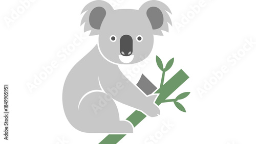 Gray Koala Bear Sitting on Branch.