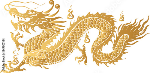 gold chinese dragon vestor illustration