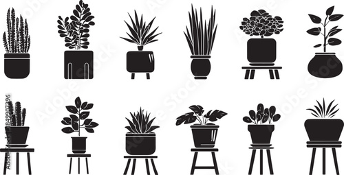 An array of stylish, graphic indoor house plants in elegant pots, a monochromatic illustration exuding the essence of minimalism.