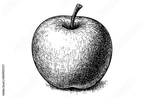 A detailed black and white sketch of a single apple with a stem, rendered with hatching and cross-hatching techniques on a white background.