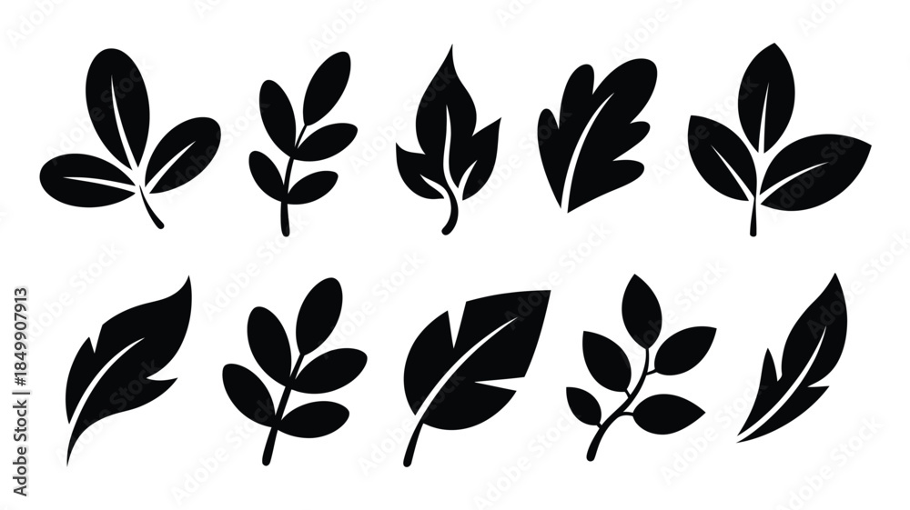 Obraz premium Various black leaf silhouettes featuring diverse forms including oak like shapes on white