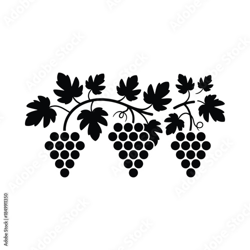 A simple black and white illustration of grape bunches with leafy vines
