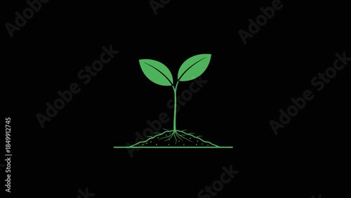 Green Seedling Sprouting from the Soil.