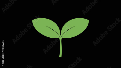 Green Seedling with Two Leaves Illustration.
