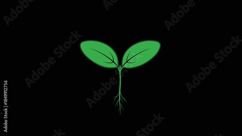 Green Seedling with Two Leaves and Roots.