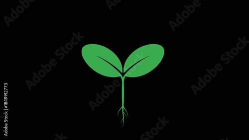 Green Seedling with Two Leaves Isolated.