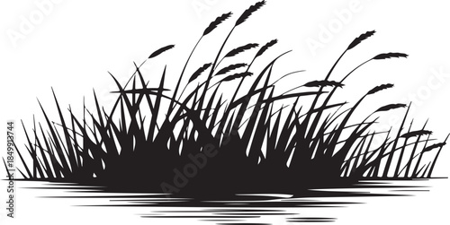 Grass silhouette background, black field grass isolated, swamp grass silhouettes, vector wild grass silhouette