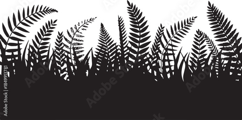 Forest fern plants silhouettes, black wild grass, jungle leaves set, vector meadow plants, nature border background