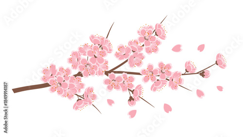 Delicate pink cherry blossoms bloom along a slender branch, creating a beautiful spring scene and evoking feelings of renewal and tranquility.