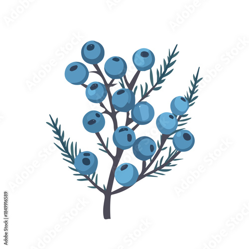 A Minimalistic 2D flat icon featuring juniper berries, clean vector design, simple illustration style, isolated on a white background, modern element in vector and EPS format. simple design