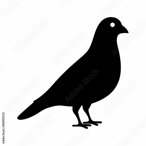 Monochrome silhouette of a pigeon bird standing still in profile view