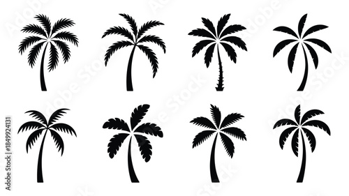 Collection of diverse black silhouette palm tree shapes against a white background