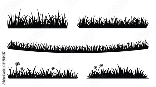 Silhouette illustration of various grass patches and small dandelion flowers