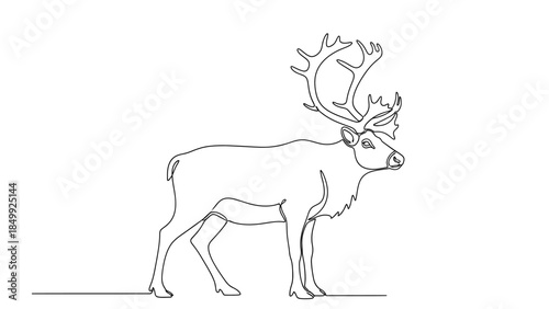 illustration of a majestic deer line art