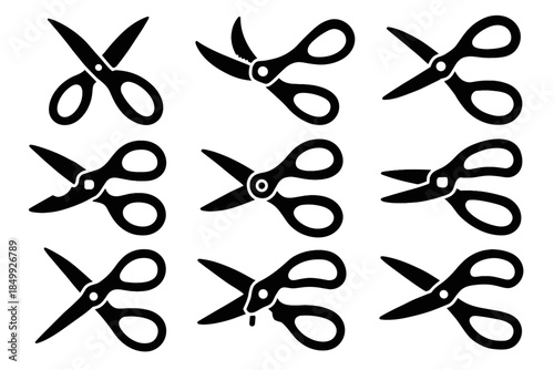 Bone handle inner plate textured mount icon notch vector central kitchen shears