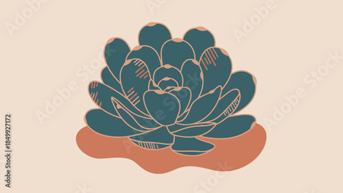 Illustration of a Succulent Plant.