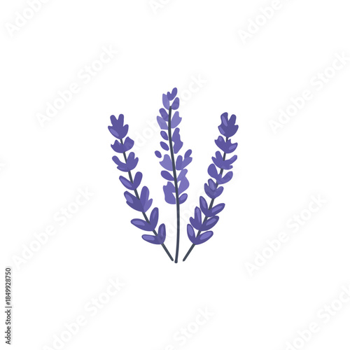 An Imaginary 2D flat icon lavender bunch, modern element in vector and EPS format, clean vector, isolated on a white background, An Icon clipart set