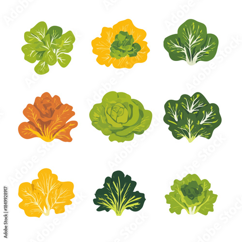 An Imaginary 2D flat icon lettuces bunch, modern element in vector and EPS format, clean vector, isolated on a white background, An Icon clipart set