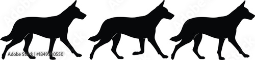 Walking dog silhouette repetition icon set, black illustration of motion, pattern, and canine behavior concept graphic