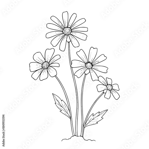 Empty vector file display Vector