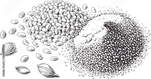 Black and white line of whole and cracked seeds with scattered granules