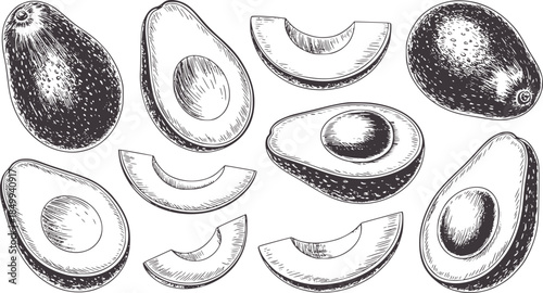 Collection of halved and sliced avocados in black and white line