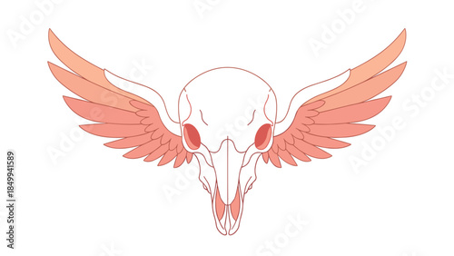 Stylized illustration of a bird skull with outstretched wings evokes themes of mortality and freedom.