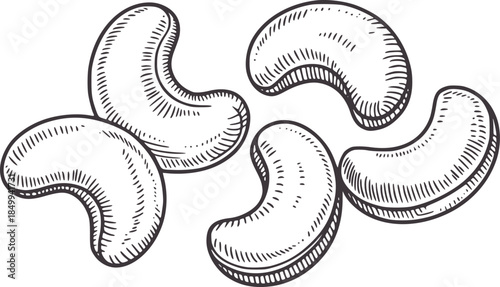 Five curved kidney bean shaped pods grouped together monochrome