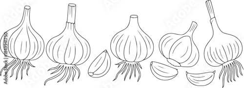 Five whole garlic bulbs and peeled cloves line