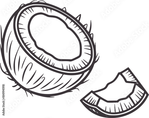 Halved coconut with husk and piece of shell line half