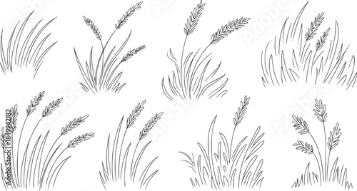 Hand drawn wheat and grass bundles black and white line