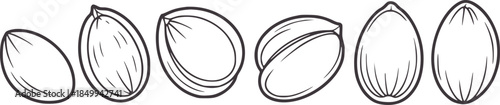 Six black and white almond outline in line style