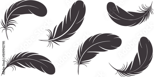 Six black feathers white