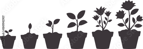 Six stages of plant growth in flower pots silhouette