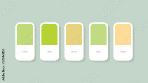 Pastel Spring Color Palette with HEX Codes – Minimal Flat Swatch Design Background