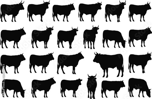 Black cow and cattle silhouette collection showing livestock poses isolated on white background for agriculture farming concepts rural design