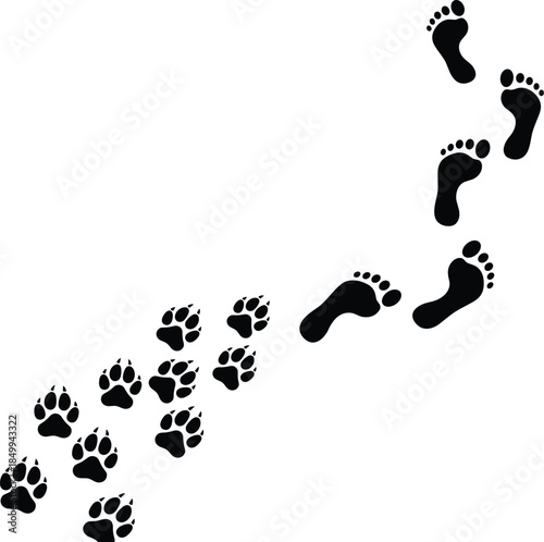 Human and animal footprints trail illustration showing walking path concept isolated on white background for tracking journey symbolism
